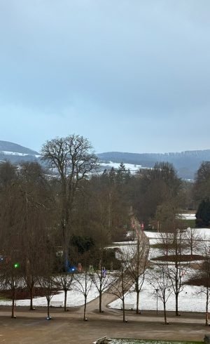 WhatsApp Image 2025-01-20 at 8.17.47 PM