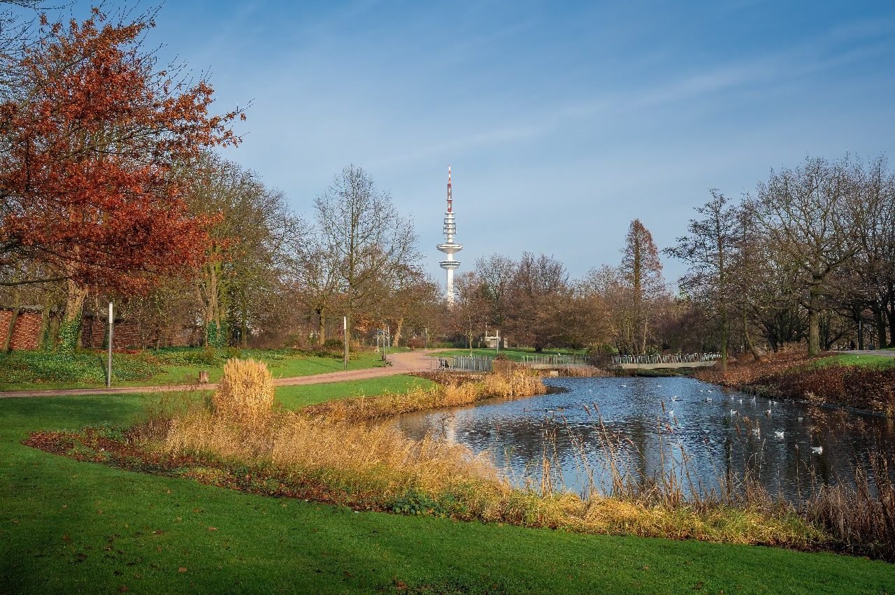 WhatsApp Image 2025-01-31 at 5.30.34 PM (2)